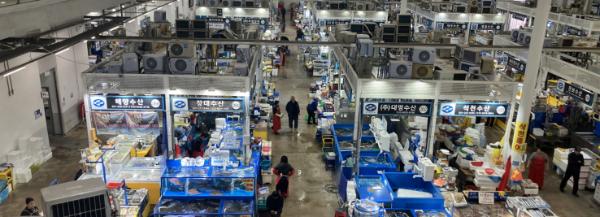 수원시농수산물도매시장 유통 수산물 3종 방사능 안전성 검사… 모두 '적합'