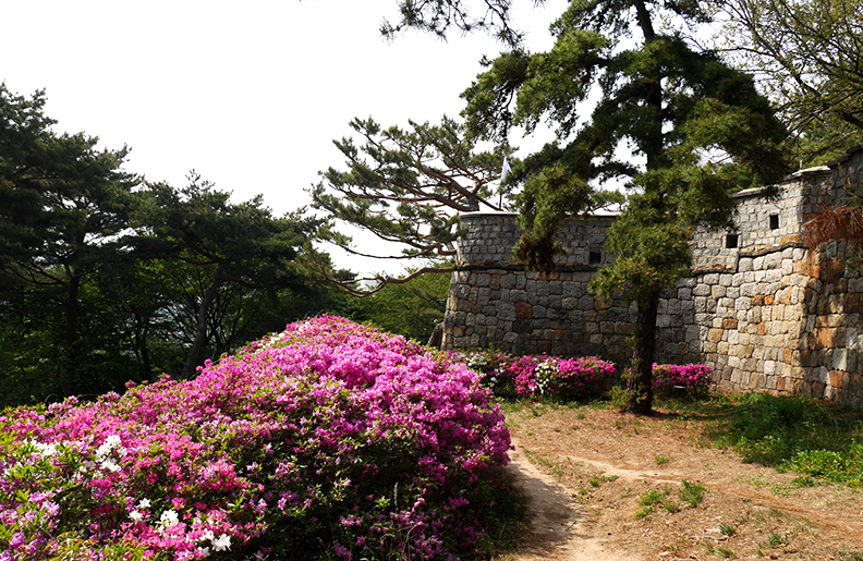 서이치(西二雉) 이미지