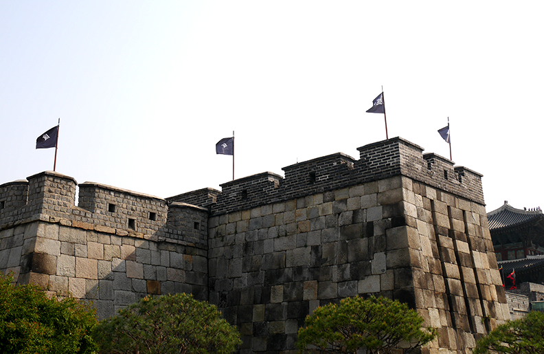 북동치(北東雉) 이미지