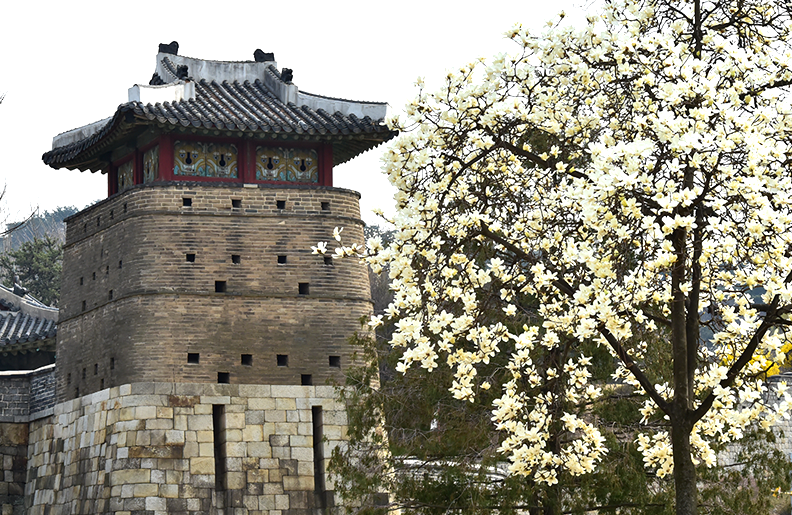 서북공심돈(西北空心墩) 이미지