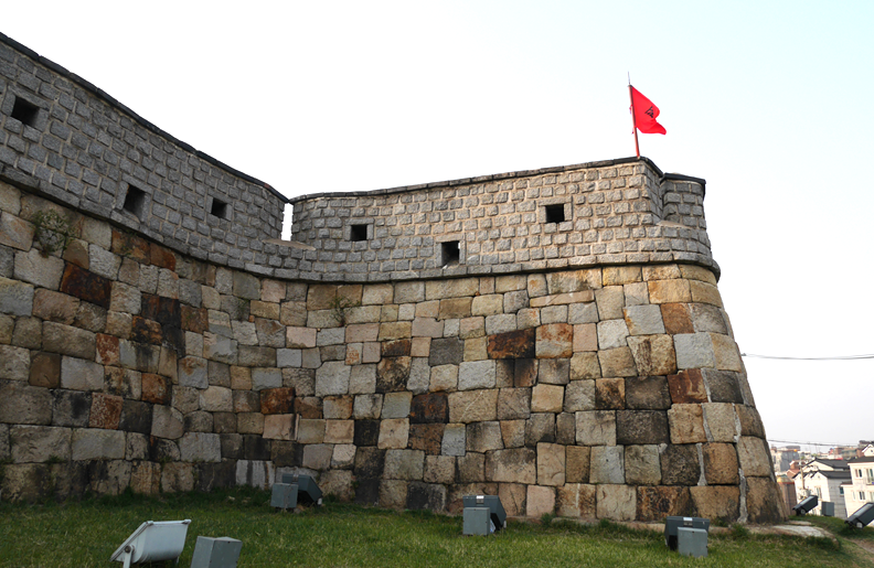 동삼치(東三雉) 이미지