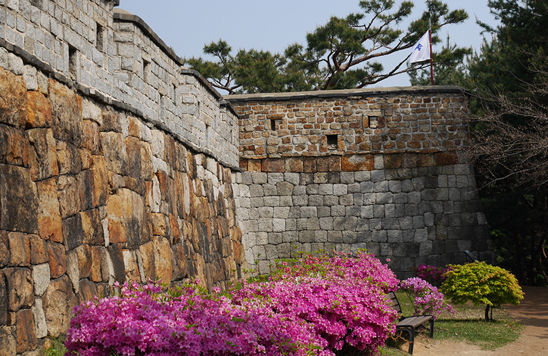서삼치(西三雉) 이미지
