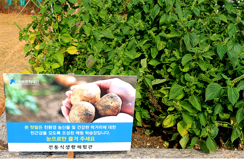 전통식생활체험관 이미지