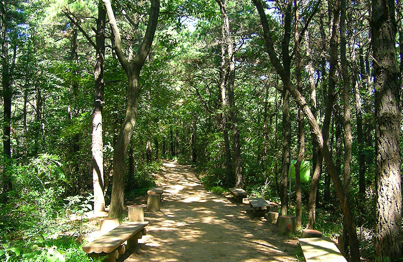 광교산 산림욕장 이미지