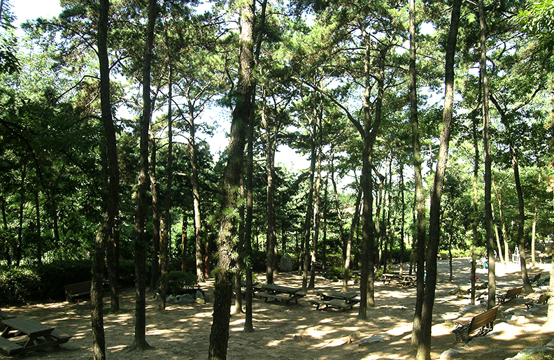 광교산 산림욕장 이미지