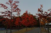 가을 코스