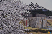 봄 코스