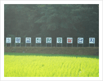 유기농 쌀 생산단지 사진