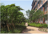 송정초등학교(2011)의 학교 숲 사진