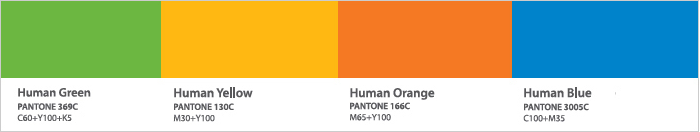 Main Color