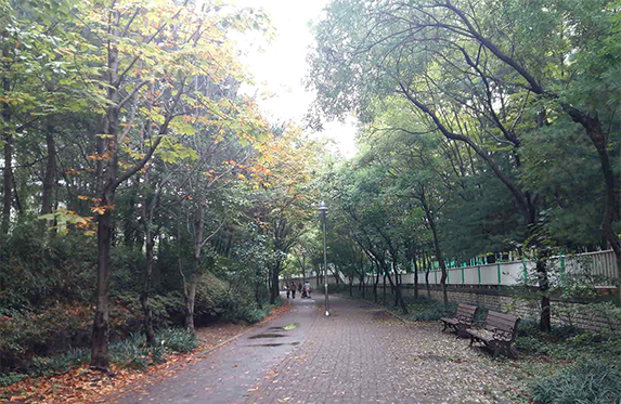 영통 살구골 공원