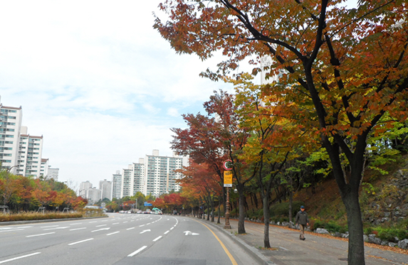 영통 보행자 전용도로