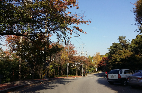 팔달산 회주도로
