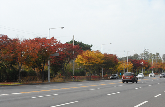 대평로