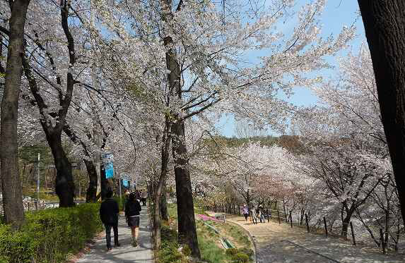 경기도청 및 팔달산회주도로