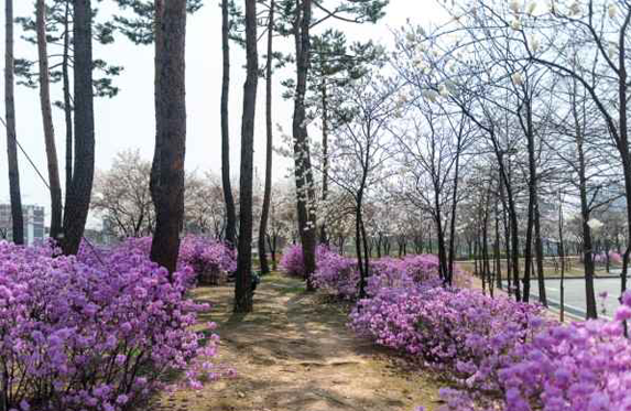 수원 월드컵구장