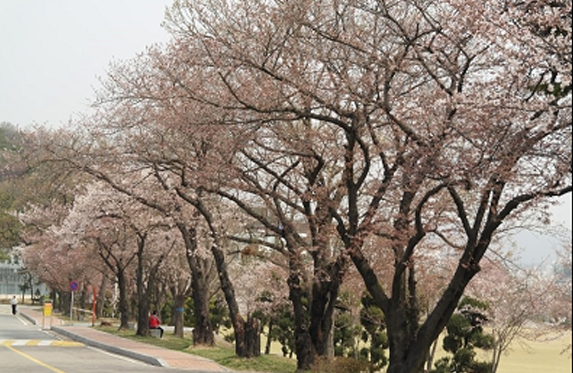여기산공원