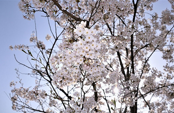 일월천로