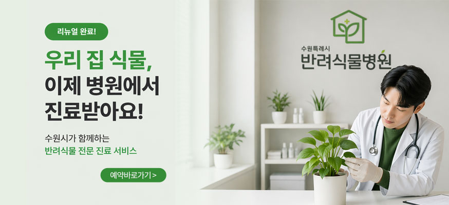 리뉴얼 완료! 우리 집 식물, 이제 병원에서 진료받아요! 수원시가 함께하는 반려식물 전문 진료 서비스, 수원특례시 반려식물병원, 예약바로가기
