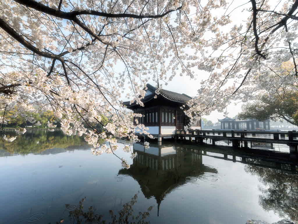 서호 전경