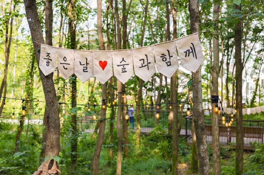 두충나무숲