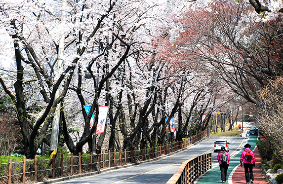팔달산2
