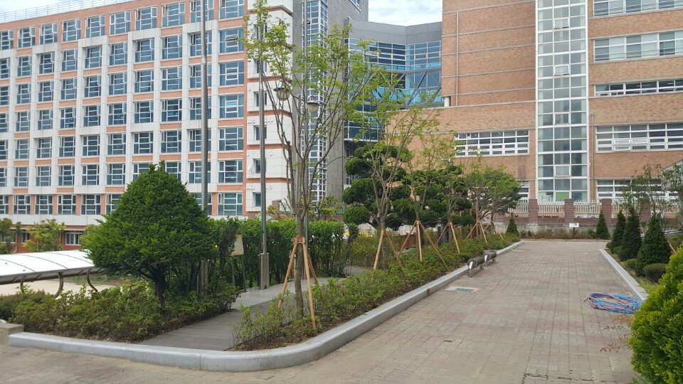 신성초등학교(2016)의 학교 숲 사진
