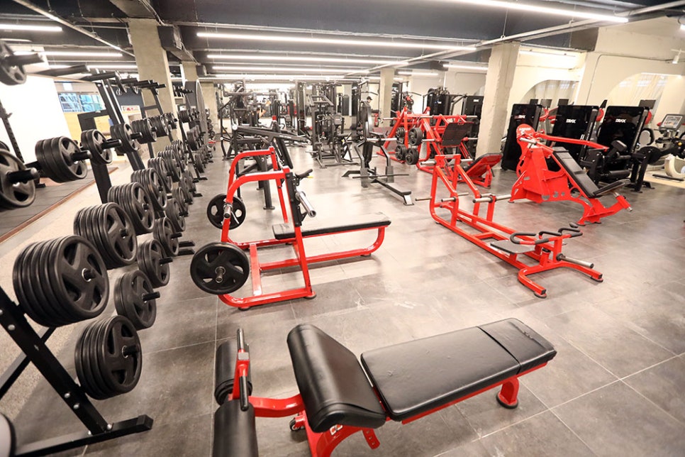 수원역 최대 규모, 넓은 매장을 자랑하는 헬스장답게 들어서니 쾌적하고 넓은 매장 속 많은 운동기구들이 설치돼 있었습니다. 기구가 많으면 답답한 느낌이 날 수도 있지만, 제니스짐은 기구 간 간격이 넓어 자유롭게 운동할 수 있어요.