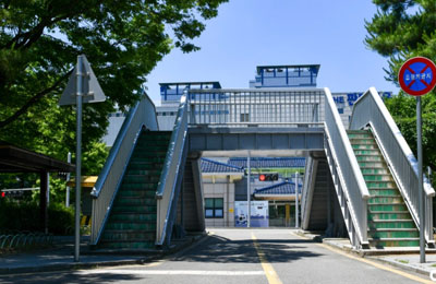 육교