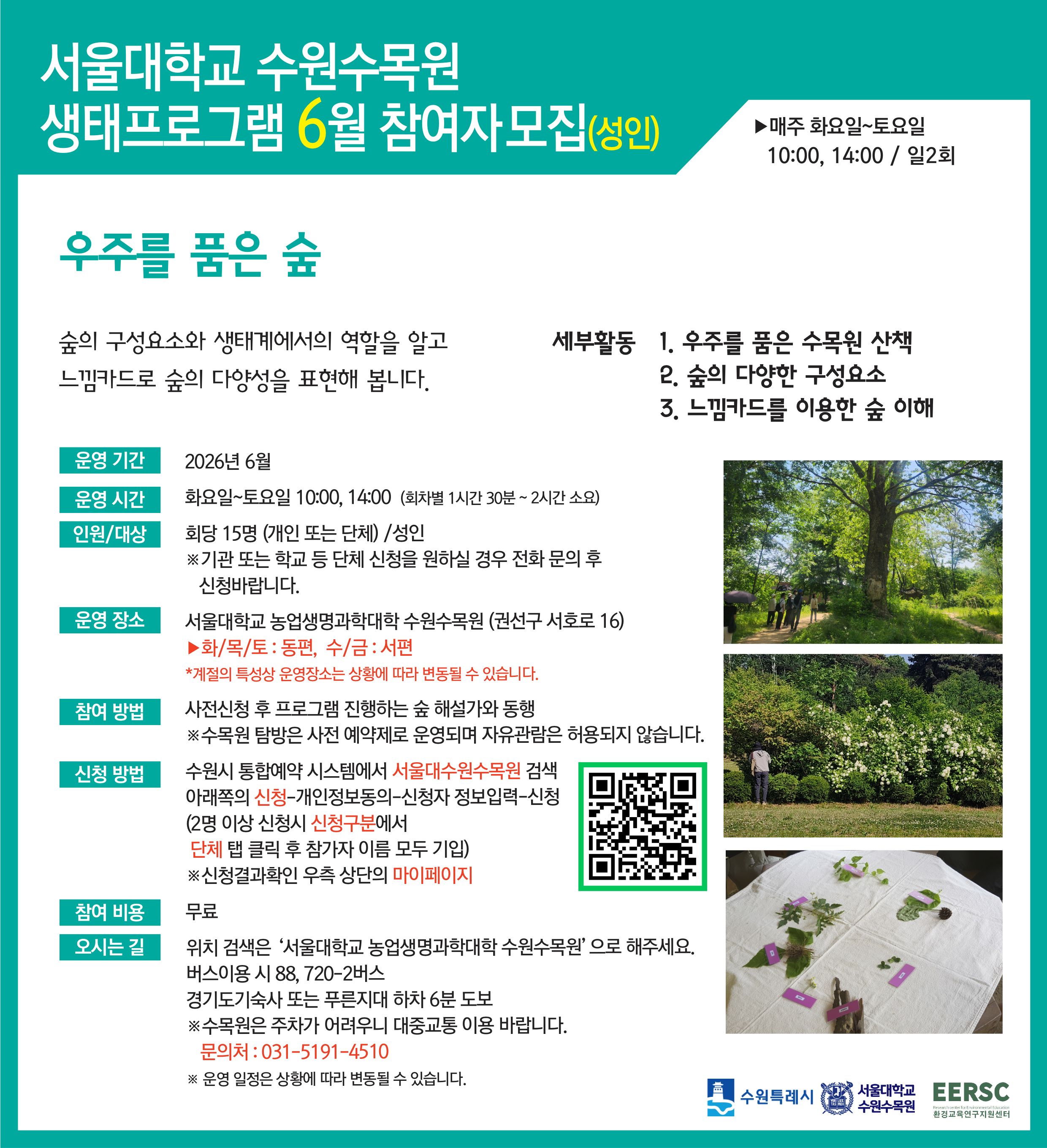성인