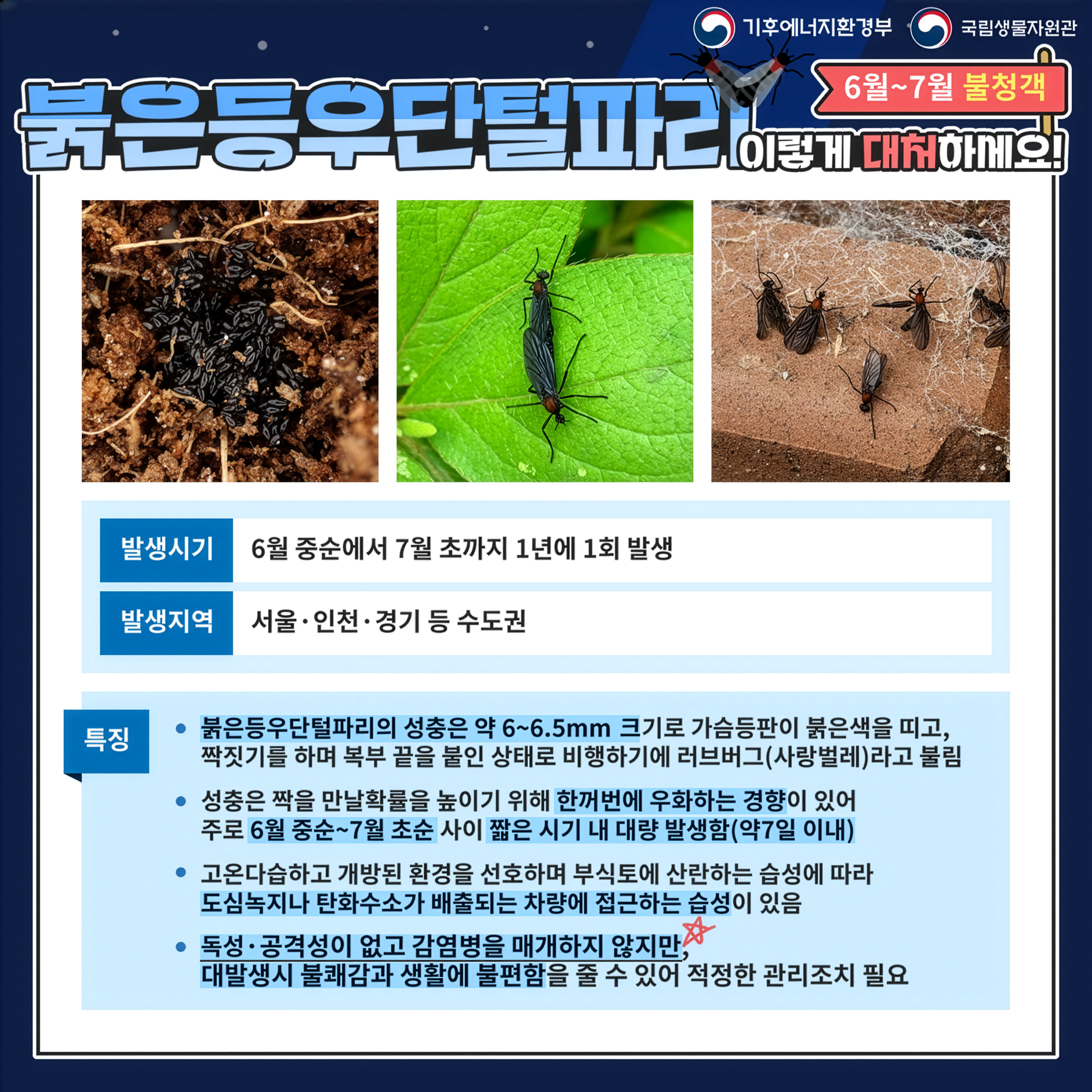 카드뉴스2