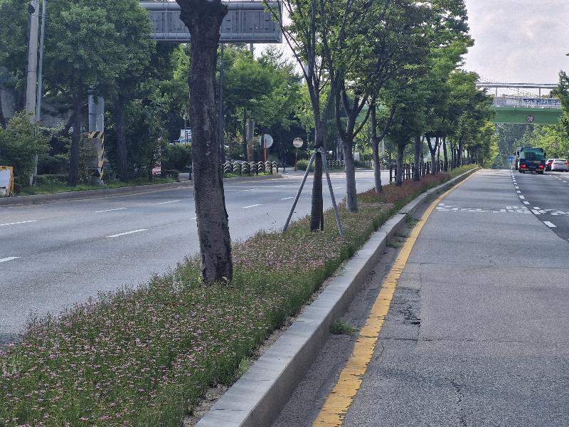 수원시, 도심 속 꽃길·녹지공간 조성했다