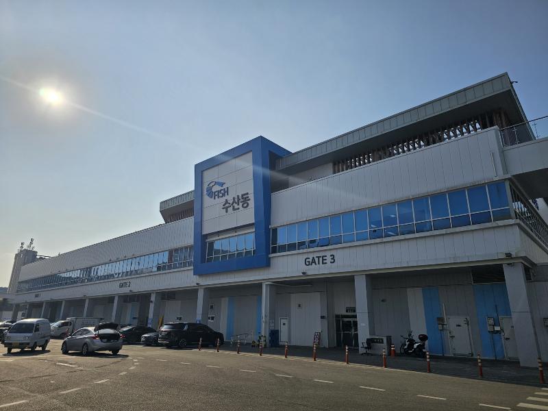수원시 농수산물도매시장 수산물, 방사능 안전성 검사…‘모두 적합’