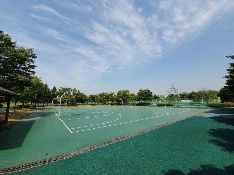 화산체육공원 농구장