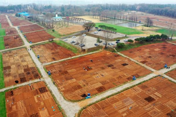 수원특례시,'새빛 시민농장 체험 텃밭' 참여할 1900세대 모집