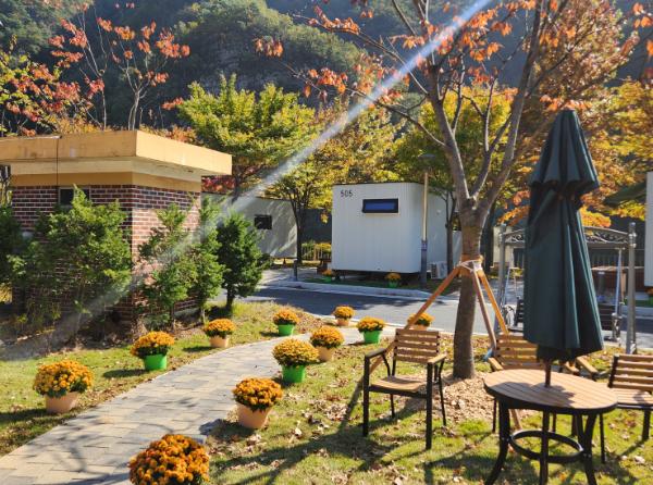 캠핑톡 앱 깔고, 청량산 수원캠핑장 25,000원에 가자!