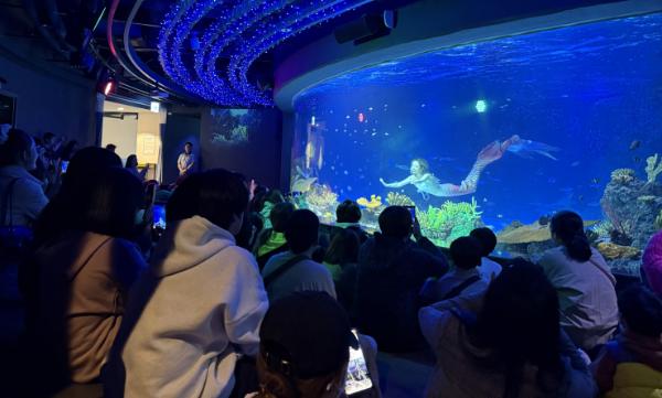 수원특례시, 드림스타트 아동 '아쿠아플라넷 가족관람' 지원