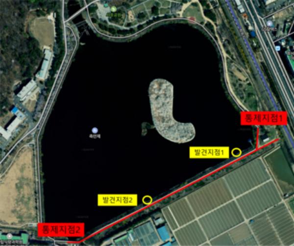  수원시 축만제 큰기러기 폐사체서 고병원성 AI 확진