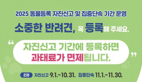수원시, 2차 동물 등록 자진신고·집중단속 기간 운영