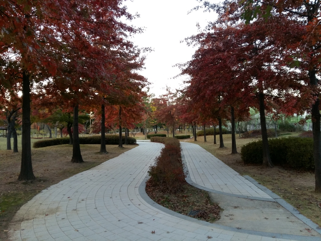 만석공원 회주도로