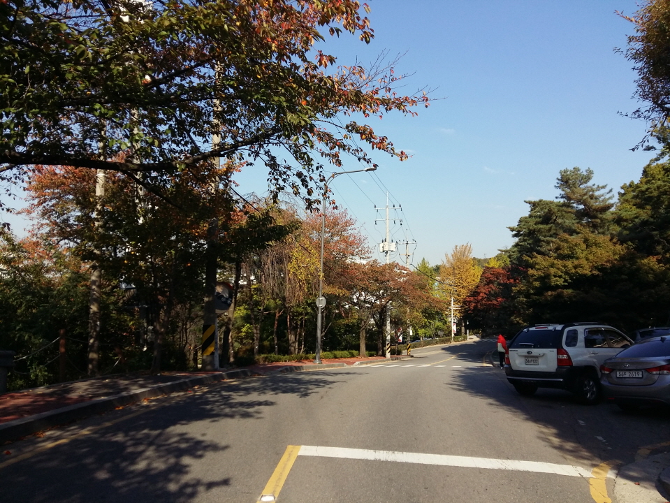 크기변환_7-팔달산 회주도로.jpg