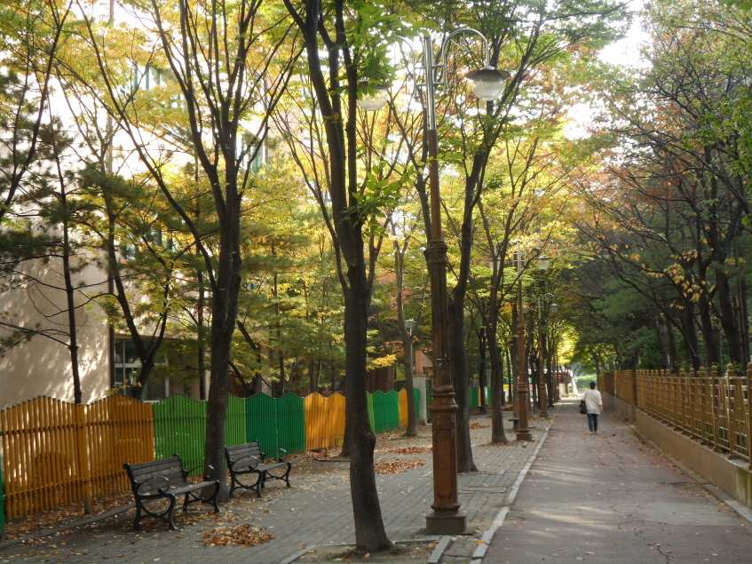 크기변환_6.-권선보행자 전용도로.JPG