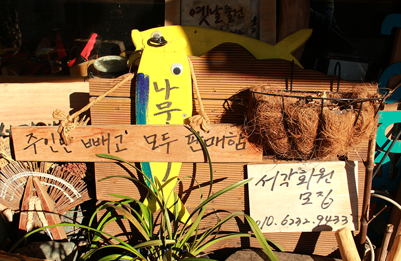 나무아저씨 이미지