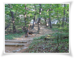 청명산 전경 사진