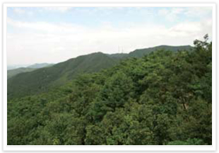 광교산(시루봉) 사진
