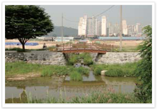 황구지천 사진