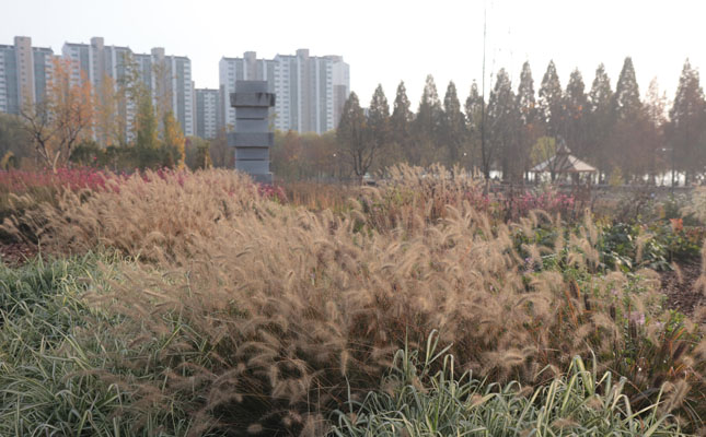 그라스원 이미지01
