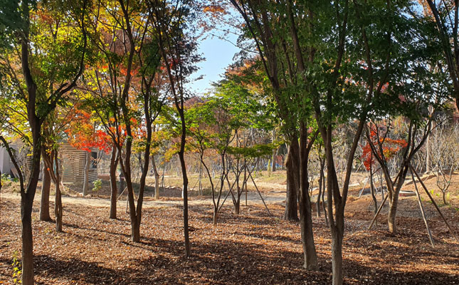 숲정원 이미지01