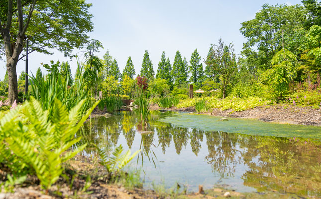 숲정원 이미지04