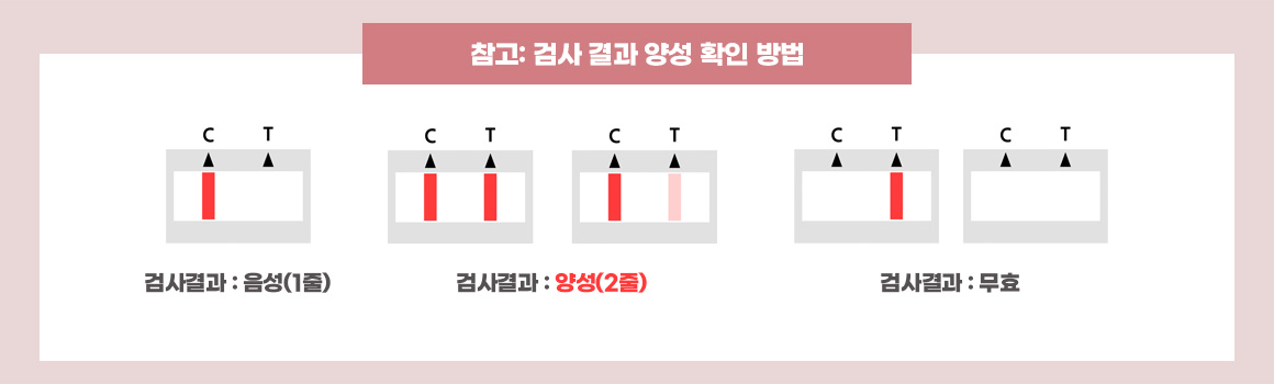 검사결과 : 음성(1줄), 검사결과 : 양성(2줄), 검사결과 : 무효